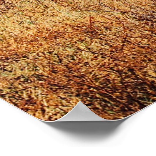 KLEINE DAZZEL (HERD) VAN ZEBRA POSTER (Hoek)