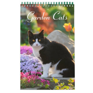 Kleine de grootte van de Katten 2017 van de tuin Kalender