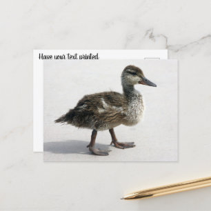 Kleine deklaag briefkaart