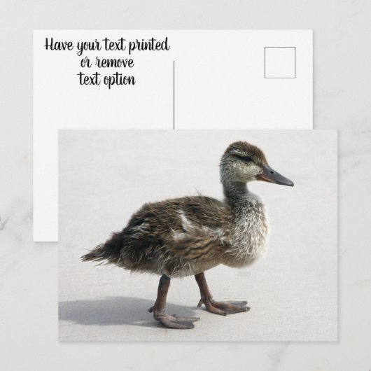 Kleine deklaag briefkaart (Voorkant / Achterkant)