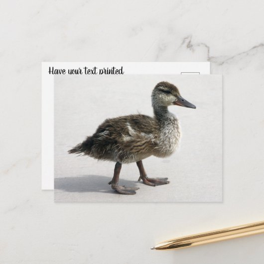 Kleine deklaag briefkaart (Voorkant / Achterkant in situ)