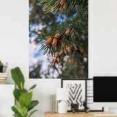 Kleine dennenappels poster (Thuiskantoor)