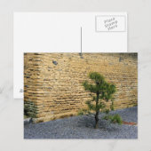 Kleine dennenboom en aardwand briefkaart (Voorkant / Achterkant)