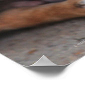 Kleine Dog Familie in het avondeten Poster (Hoek)