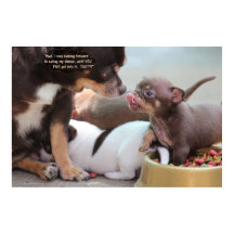 Kleine Dog Familie in het avondeten