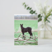 Kleine donkere kleur briefkaart (Staand voorkant)