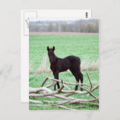 Kleine donkere kleur briefkaart (Voorkant / Achterkant)