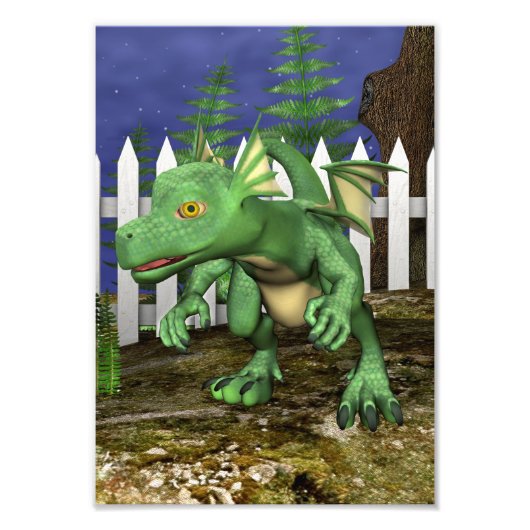 Kleine Draak Foto Afdruk (Voorkant)
