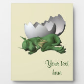 Kleine draak fotoplaat (Voorkant)