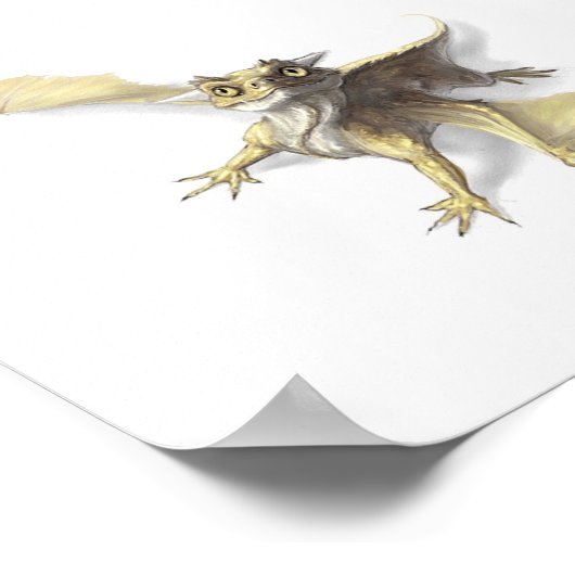 Kleine draak poster (Hoek)