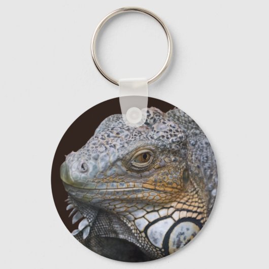 Kleine Draken Sleutelhanger (Voorkant)