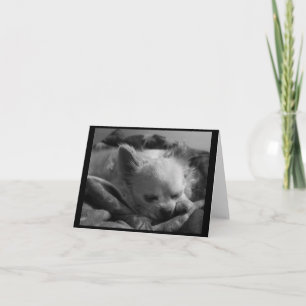 Kleine droger - Blank briefkaartje Kaart