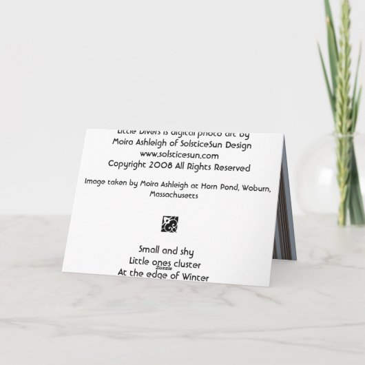 Kleine Duikers Kaart (Achterkant)