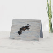 Kleine Duikers Kaart (Voorkant)