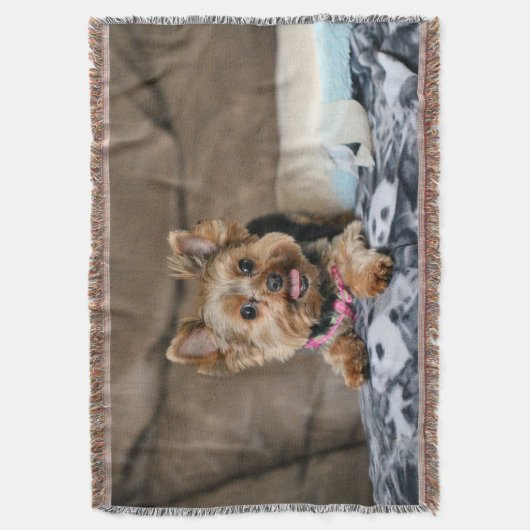 Kleine dynamo deken (Voorkant Verticaal)