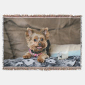 Kleine dynamo deken (Voorkant)