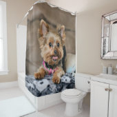 Kleine dynamo douchegordijn (In situ)