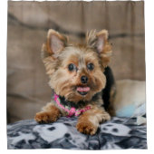 Kleine dynamo douchegordijn (Voorkant)