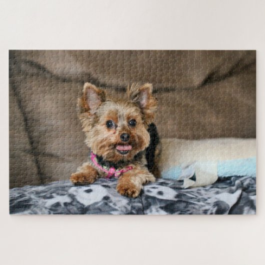 Kleine dynamo legpuzzel (Horizontaal)