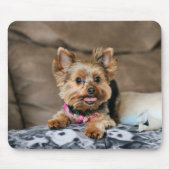 Kleine dynamo muismat (Voorkant)