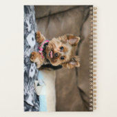 Kleine dynamo planner (Achterkant)