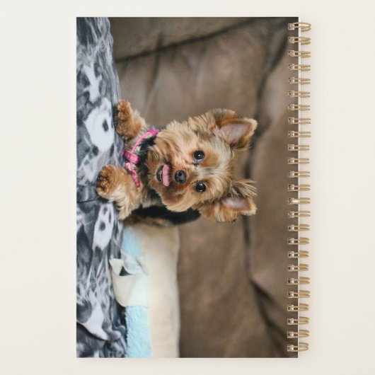 Kleine dynamo planner (Achterkant)