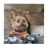 Kleine dynamo tegeltje (Voorkant)