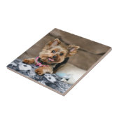 Kleine dynamo tegeltje (Zijkant)