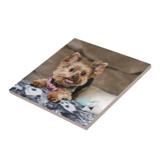 Kleine dynamo tegeltje (Zijkant)