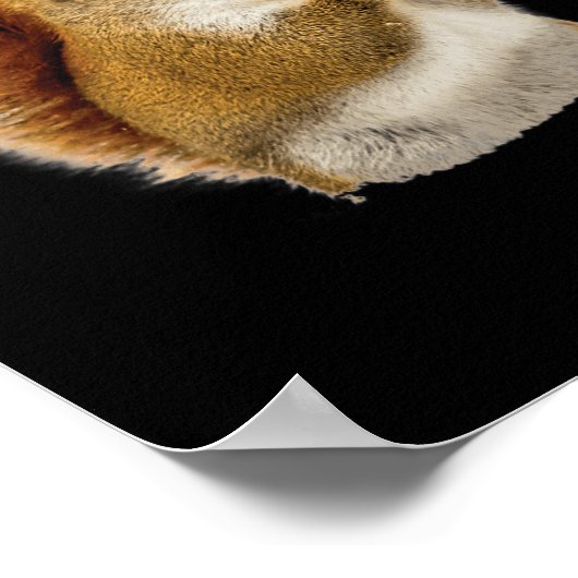 Kleine eekhoorn die zijn noten eet poster (Hoek)