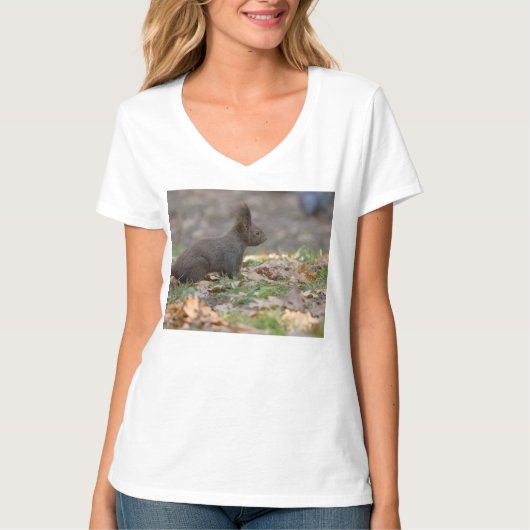 Kleine eekhoorn t-shirt (Voorkant)