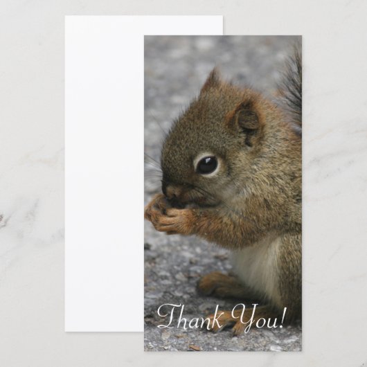 Kleine eekhoorntjes knijpen bij eten in poten bedankkaart (Voorkant / Achterkant)