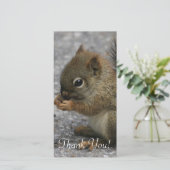 Kleine eekhoorntjes knijpen bij eten in poten bedankkaart (Staand voorkant)
