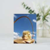 kleine eend briefkaart (Staand voorkant)