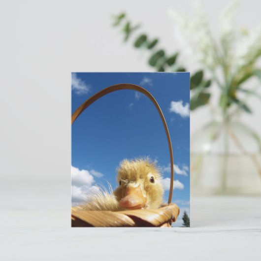 kleine eend briefkaart (Staand voorkant)