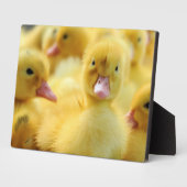 Kleine eenden fotoplaat (Zijkant)