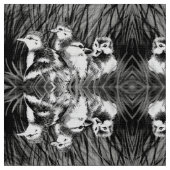 Kleine eenden stof (Close Up)