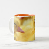 Kleine eenden tweekleurige koffiemok (Voorkant links)