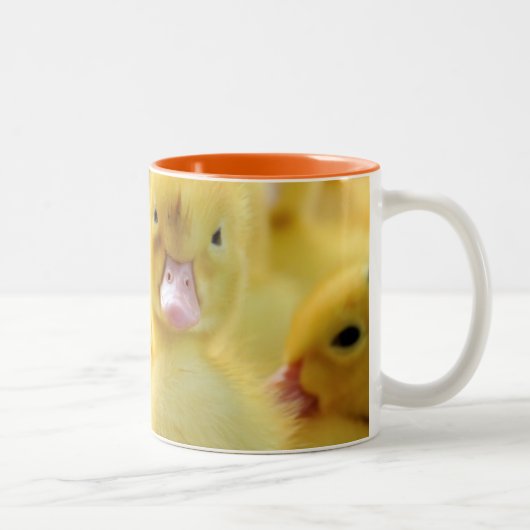 Kleine eenden tweekleurige koffiemok (Rechts)