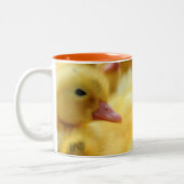 Kleine eenden tweekleurige koffiemok (Links)