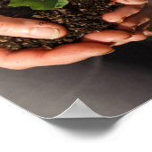 Kleine eikel in de handen van een vrouw poster (Hoek)