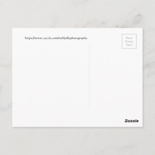 Kleine en machtige kolibrie briefkaart (Achterkant)