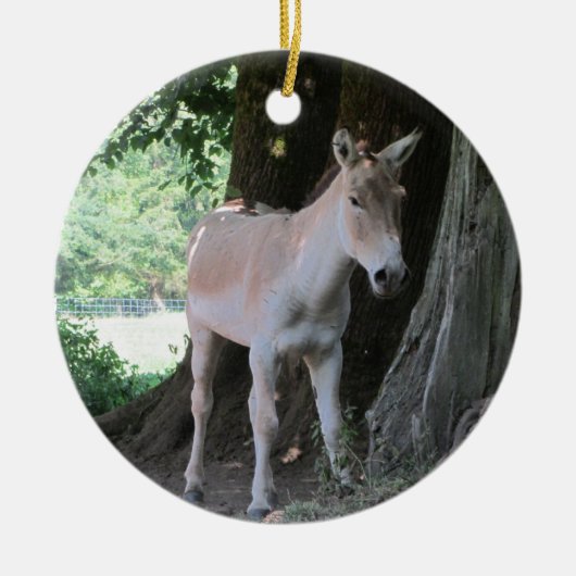 Kleine Ezel Keramisch Ornament (Voorkant)