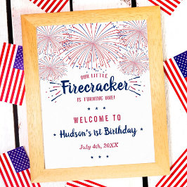 Kleine Firecracker op 4 juli 1991 Poster