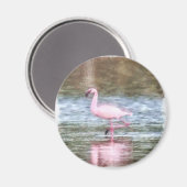 Kleine flamingo-Waterverf Magneet (Voorkant / Achterkant)