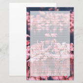Kleine Flamingo's (Phoeniconaias minor), Afrika, Briefpapier (Voorkant / Achterkant)