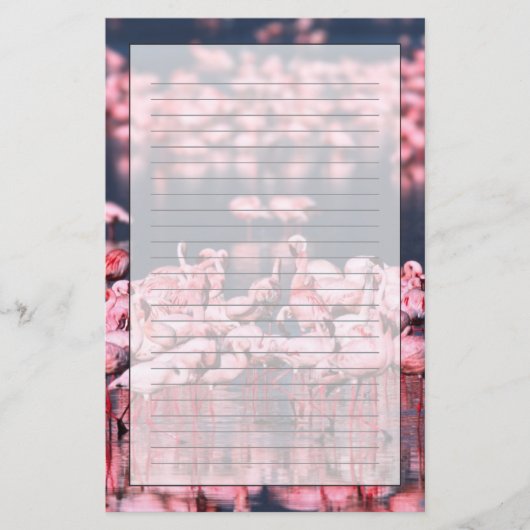 Kleine Flamingo's (Phoeniconaias minor), Afrika, Briefpapier (Voorkant)