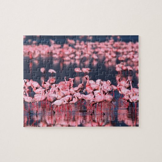 Kleine Flamingo's (Phoeniconaias minor), Afrika, Legpuzzel (Horizontaal)