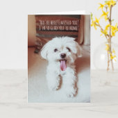 Kleine flinterhond blij om te zien dat jullie hond kaart (Gele Bloem)