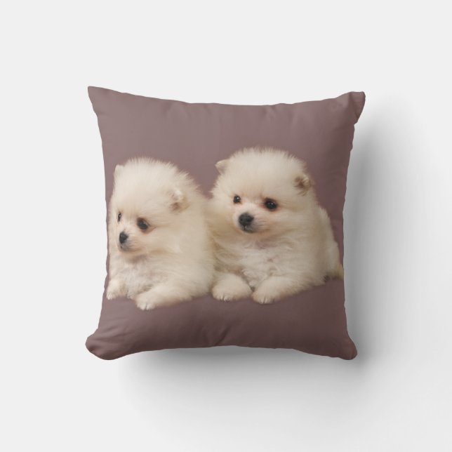 Kleine Fluffy White Pommommeren Puppies Pillow Kussen (Voorkant)